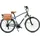 VENICE - I love Italy Monotubo Classic Man 28 Zoll RH 50 cm grau