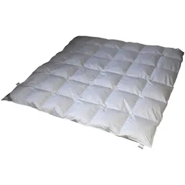 Betten Hofmann White Sibiria Schneegänseflaum Daunendecke Bettdecke 6x7 200x220 cm - Schwarz