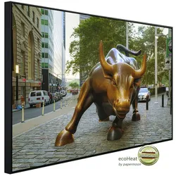 papermoon Infrarotheizung »EcoHeat - Wall Street Bull«, Matt-Effekt - bunt