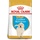 Royal Canin Golden Retriever Junior 3 kg