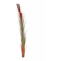 Europalms Schilfgras mit Kolben, hellbraun, 152cm