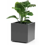 Euro3Plast Greener Kebe 40 x 40 x 40 cm Anthrazit