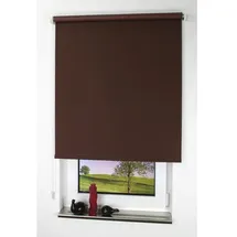 LIEDECO Seitenzugrollo Uni 102 x 180 cm verdunkelnd cappuccino