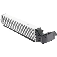 AKS DASIS Ladeluftkühler 057002N