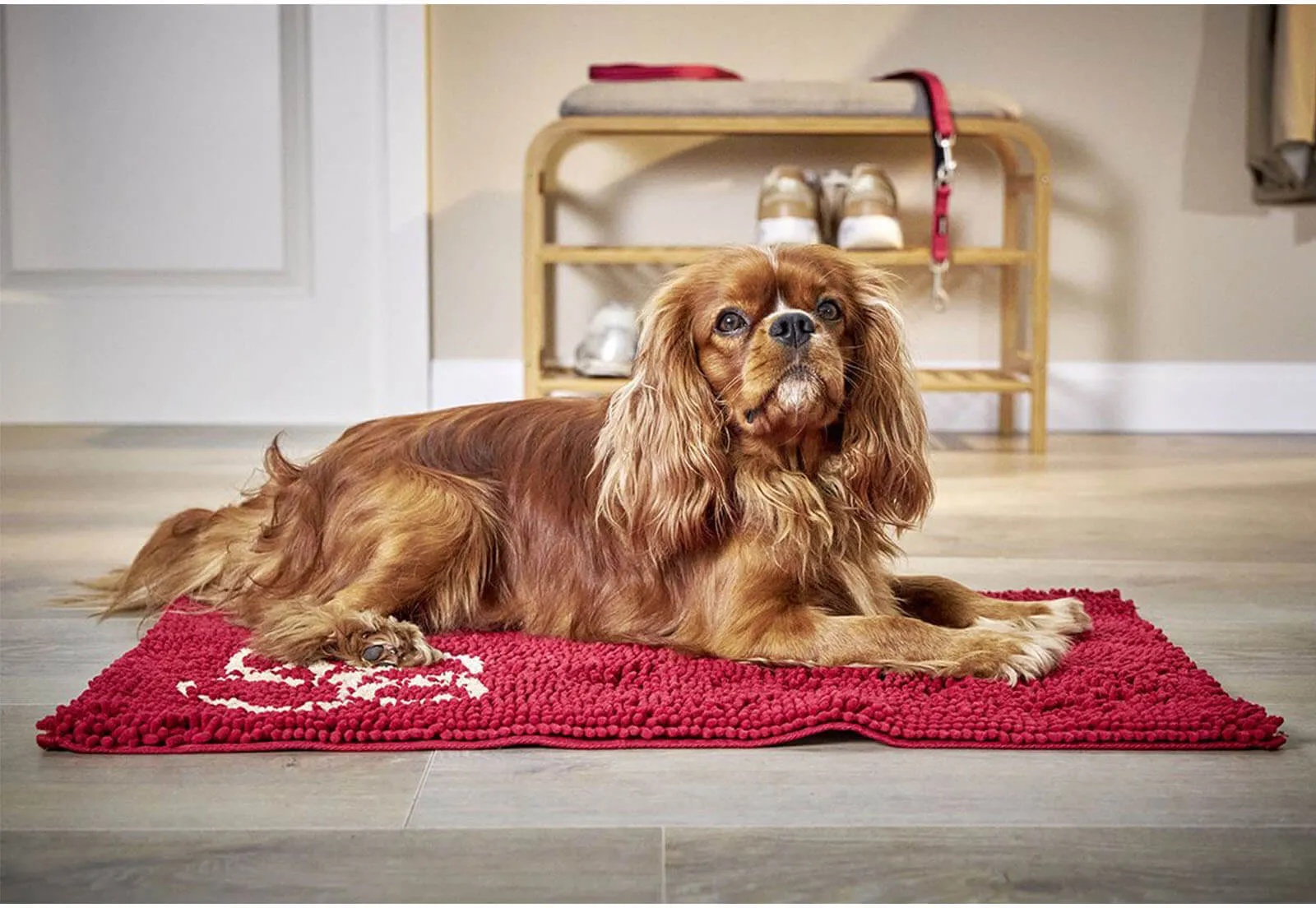 Wolters Doormat Dirty Dog Fußmatte Rot 90 x 66 cm