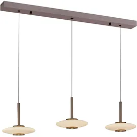 neuhaus pure® by paul neuhaus PURE 3-flg. 60 cm dunkelbraun Metall