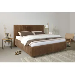 Polsterbett BIRKENSTOCK "Canberra Luxury", braun (blassbraun bir 14), B:197cm H:111,5cm L:222,5cm, Sattelleder BIR (100% Echtleder), Betten, Kopfteil in Sattelleder mit Lederkante, unterschiedliche Ausführungen