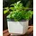 Gusta Garden Herbs Buddy 15,3 x 14,8 x 14 cm Weiß