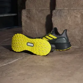 adidas Ultraboost 5 GTX CARBON/CBLACK/GREFOU, 42 2/3