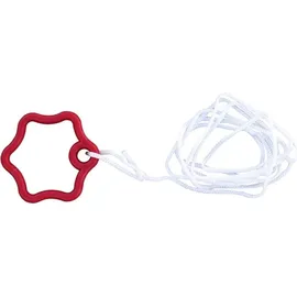 Poolstar Poolroboter Red Panther rot