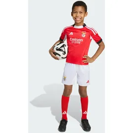 adidas Benfica Lissabon 25/26 Kids Mini-Heimausrüstung weiß|rot 92 cm