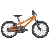 Scott Roxter 16 Orange Modell 2025