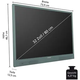 Telefunken PL32GI 32" LED HD mobiler Akku-TV grün