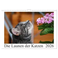 Calvendo Die Launen der Katzen 2026 (Wandkalender 2026 DIN