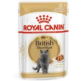 Royal Canin Adult British Shorthair