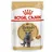 Royal Canin Adult British Shorthair