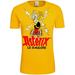 T-Shirt LOGOSHIRT "Asterix Le Gaulois", Herren, Gr. XL, bunt, 100% Baumwolle, bedruckt, casual, normal, Rundhals, Kurzarm, Shirts, mit Asterix- und Zaubertrank-Print