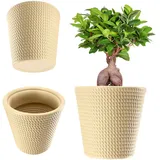 KADAX Blumentopf aus Kunststoff, Pflanzkübel, 30 cm, Creme