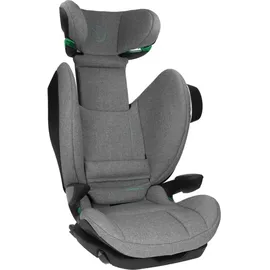 Avionaut MaxSpace Smart Grau