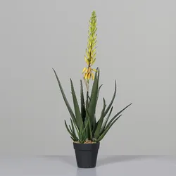 Kunstpflanze Aloe Vera - grün