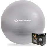 Donic Schildkröt Schildkröt Fitness Gymnastikball 65cm (silver) KEINE FARBE 65