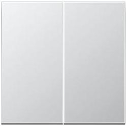 Jung  Steuertaste Standard 2fach (Aluminium)