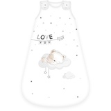 Herding Baby Best Baby-Schlafsack Sleeping Little Bear Bär-Motiv, 70 x 45 cm, Seitlich umlaufender Reißverschluss und Druckknöpfe