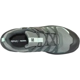 Salomon SHOES EXTEND 2 GTX W Sedsa/Wrought iron, sedona Sage/Wrought Iron/Lichen