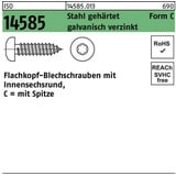 Reyher Blechschraube ISO 14585 ISR/Spitze 6,3x19 -C-T30 Stahl geh.galv.verz. 250St.