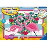 Ravensburger Malen nach Zahlen Liebenswerte Flamingos