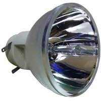 Osram Beamerlampe (nur Leuchtmittel) für CANON (ersetzt: LV-LP40, 0120C001)