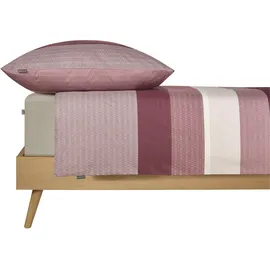 SCHIESSER Endy Stripes Gestreift Lila 135 x 200 cm + 80 x 80 cm
