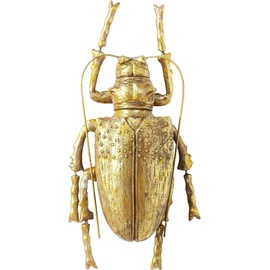 Kare Design Longicorn Beetle Gold, Wohnraumdeko, Wanddekoration, Accessoires, Wohnzimmer, Wandobjekt, Wanddeko, 7x15x27cm
