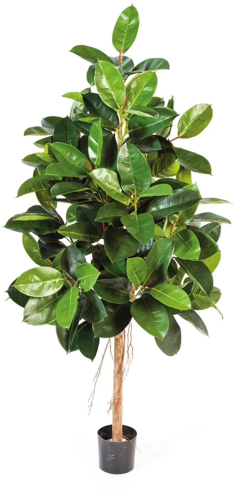 Ficus Elastica Kunstpflanze 180 cm