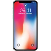 Apple iPhone X 64 GB space grau