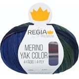 Regia Premium Merino Yak Color, 100G terrain gradient color Handstrickgarne
