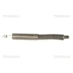 Triscan Gasfeder, Koffer-/Laderaum [Hersteller-Nr. 871038228] für Citroën