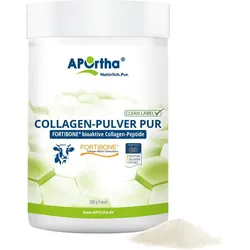 FORTIBONE® B (Rind) Collagen-Pulver - 300 g Pulver - Dose 300g