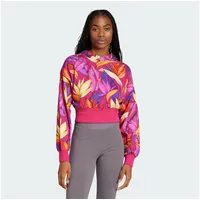 Adidas X Farm Kapuzenpullover Bold Pink / Spring Yellow