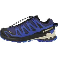 Salomon Herren Xa Pro 3D V9 GTX Schuhe (Größe 42, blau)