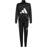 adidas Essentials Big Logo Climacool Trainingsanzug Black / White 176