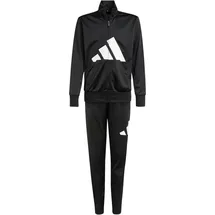 adidas Essentials Big Logo Climacool Trainingsanzug Black / White 176