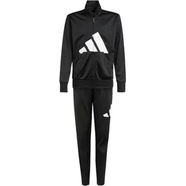 adidas Essentials Big Logo Climacool Trainingsanzug Black / White 176
