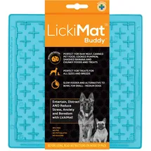 Lickimat Buddy 20x20 cm Türkis,