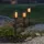 Star Trading Flame Mini LED Gartenlicht schwarz