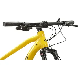 KROSS Hardtail Level 4.0 29 Zoll RH 41 cm gelb