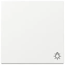 Gira Wippe Symb. Licht 328503