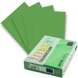 Antalis Image Coloraction Dublin A4 80 g/m2 500 Blatt deep green