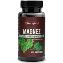 skoczylas Magnesium 4 Formen Kapseln 60 St.