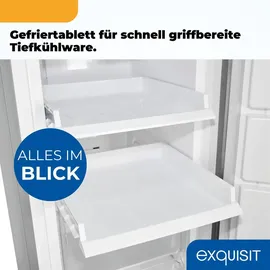 Exquisit GS5271-NF-H-040D Silber